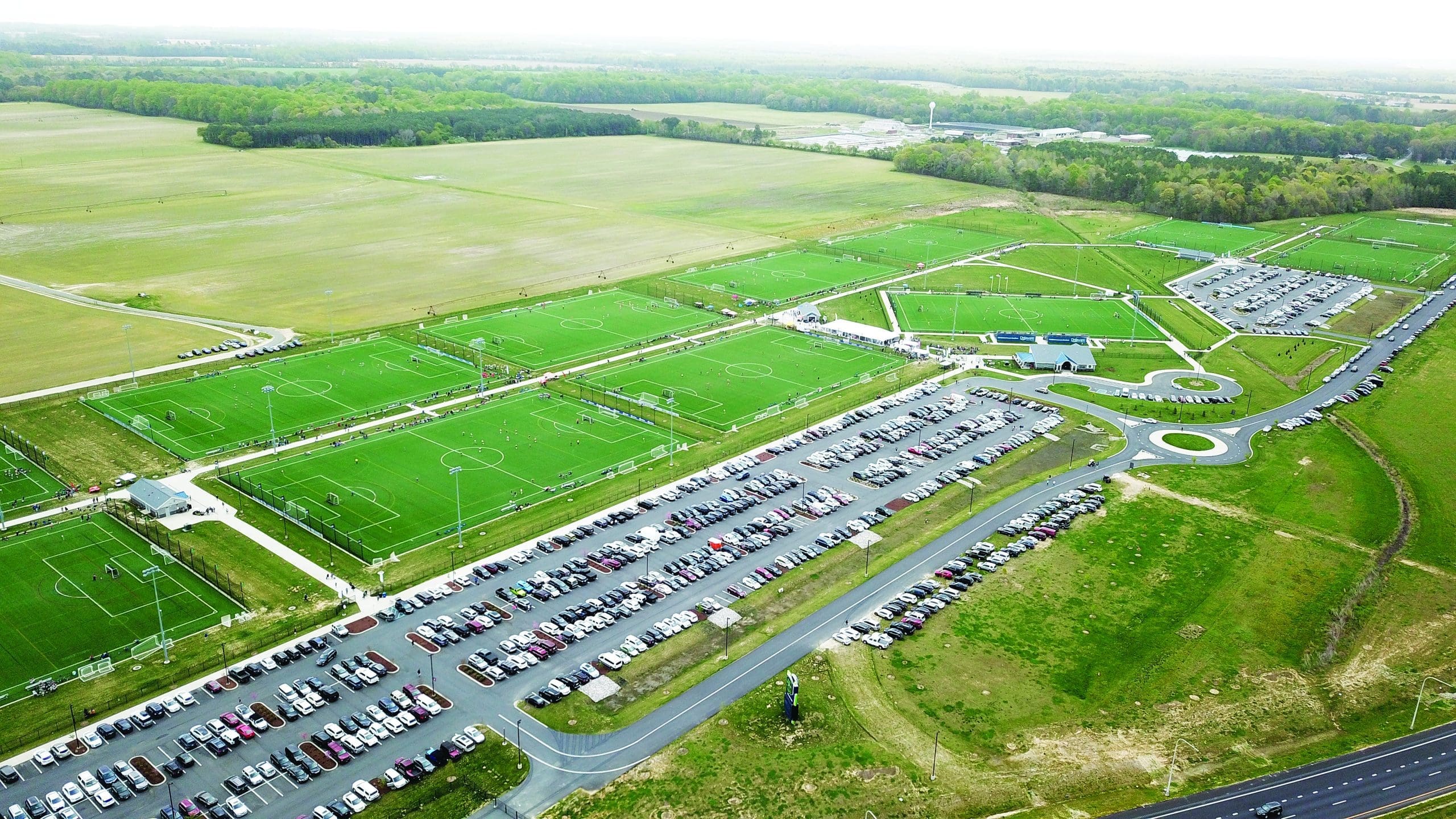 Turf Wide 1