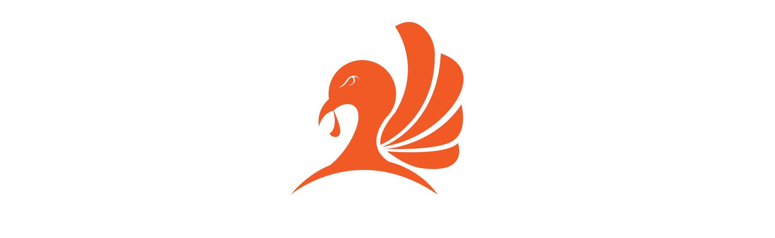 Turkey Brawl Logo WHT LONG